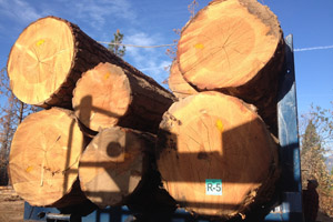 LOG TRUCK