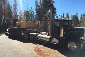 TRUCK & LOWBED