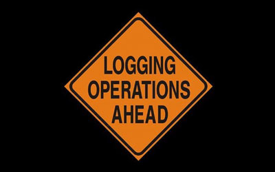 Logging Safety